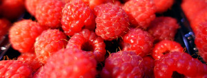 Bringebær banner